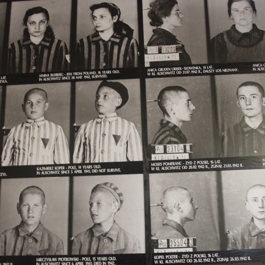 Roughly 1/6 of Jews during the Holocaust died at Auschwitz.