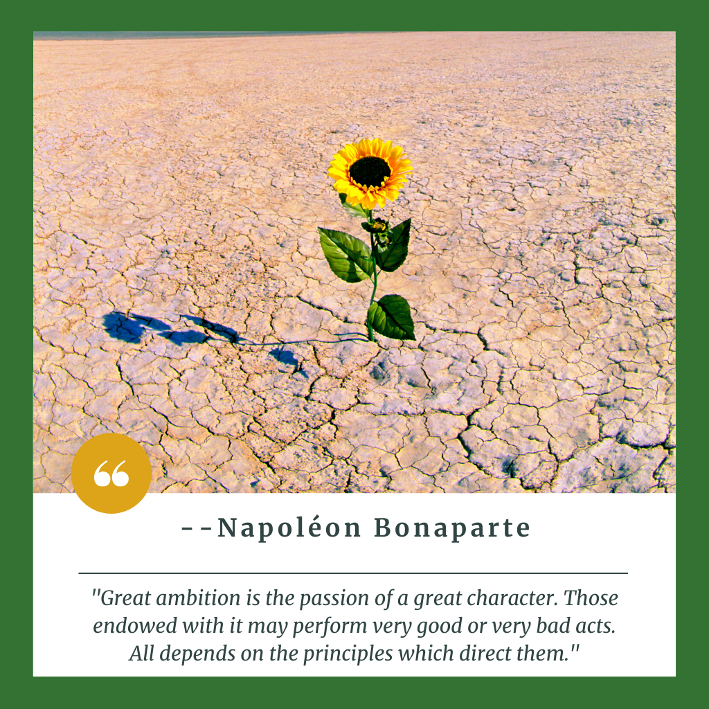 powerful quotes by Napoleon Bonaparte