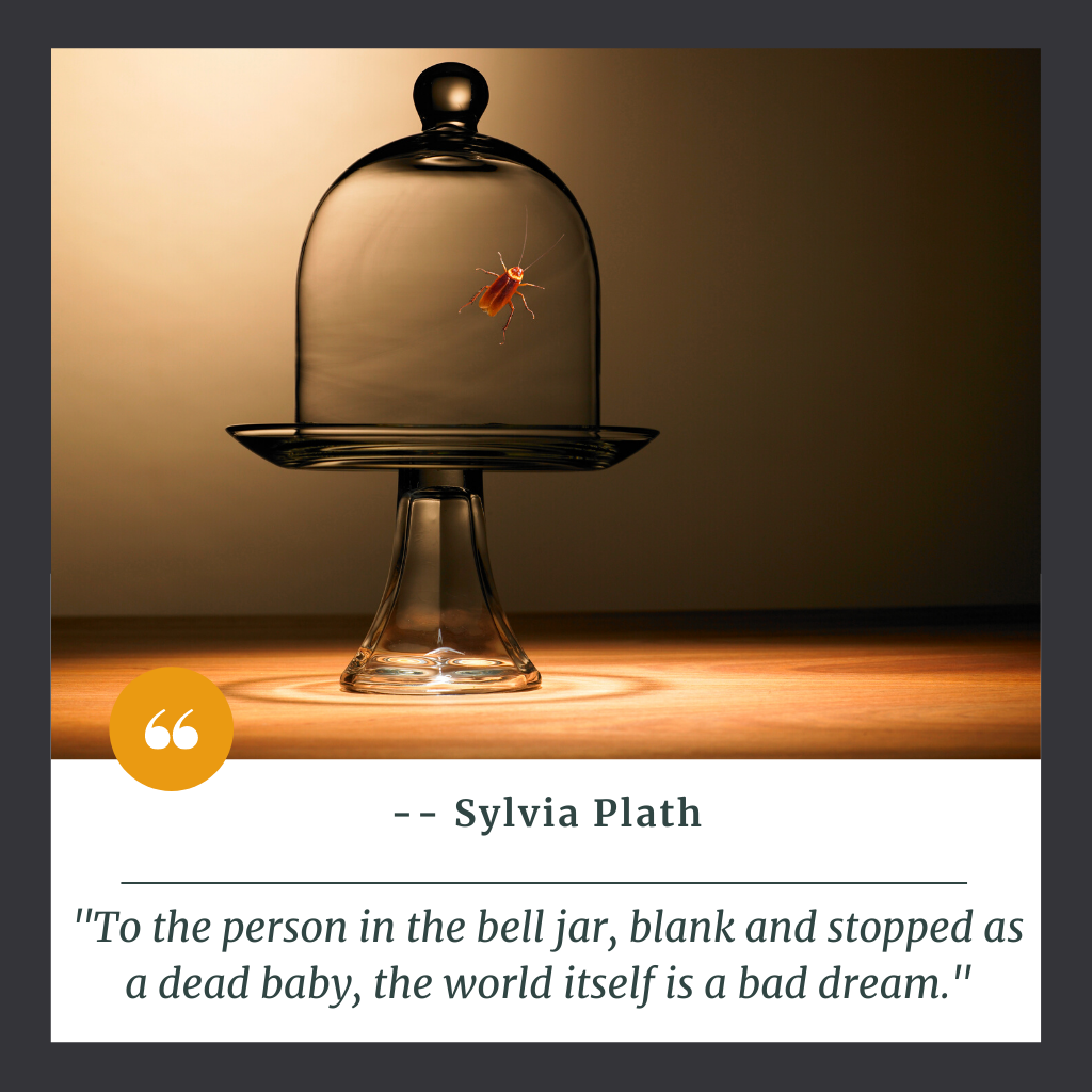 "To the person in the bell jar, blank and stopped as a dead baby, the world itself is a bad dream."
