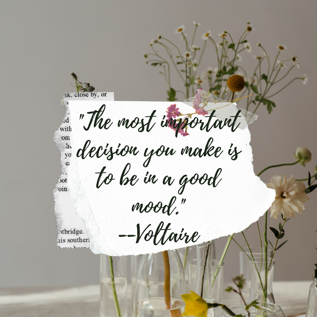 Voltaire quotes to inspire and motivate you.