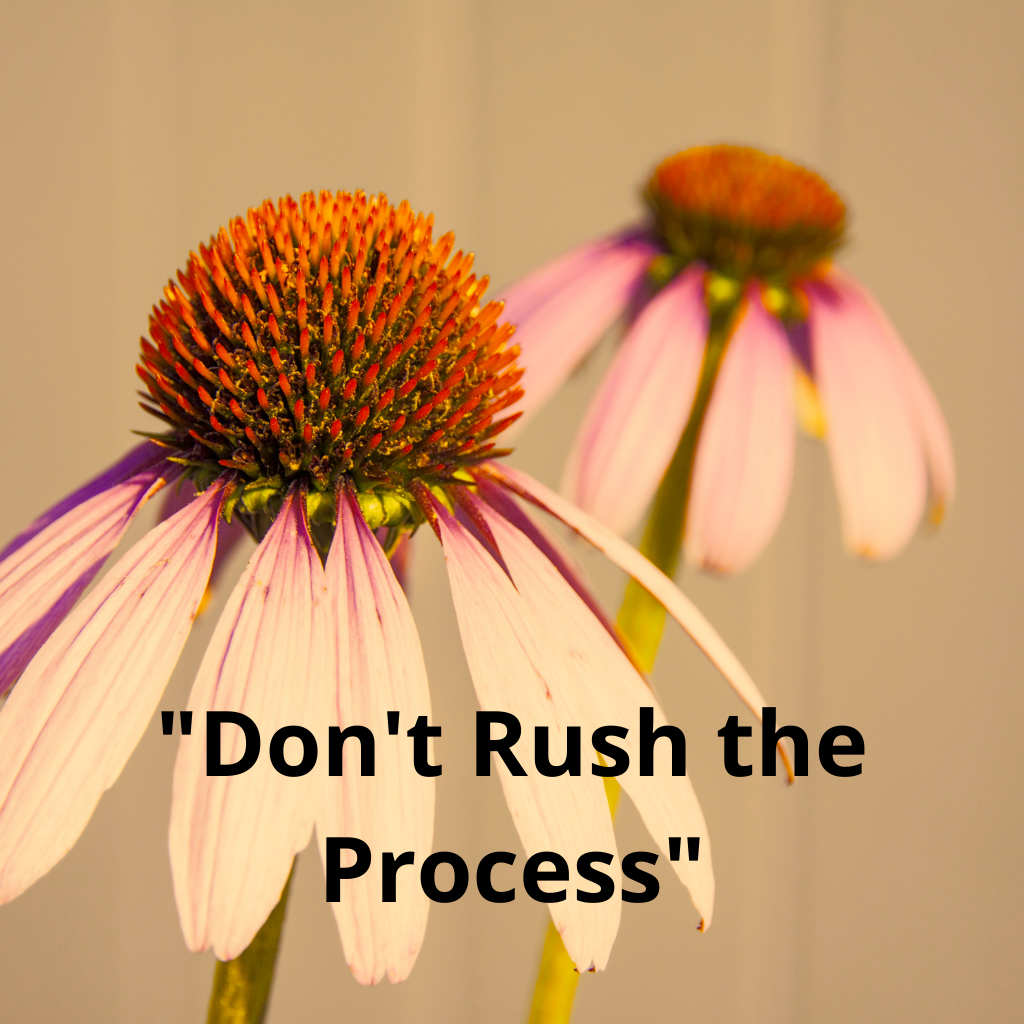 quote of the day: "Don't Rush the Process"