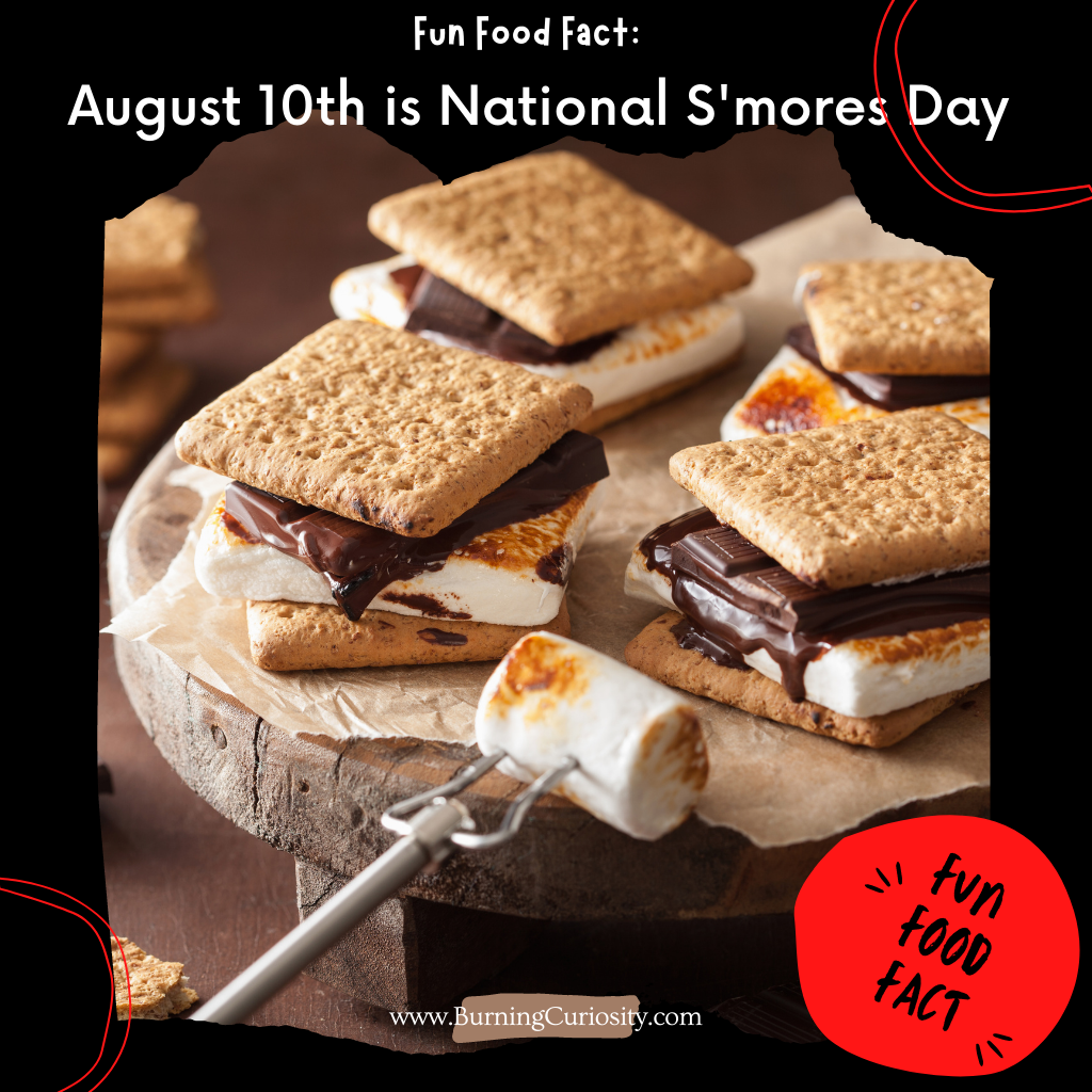 Enjoy a Girl Scout classic dessert around the campfire with S'mores. chocolate desserts