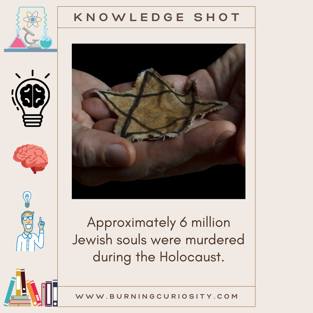 holocaust jewish facts