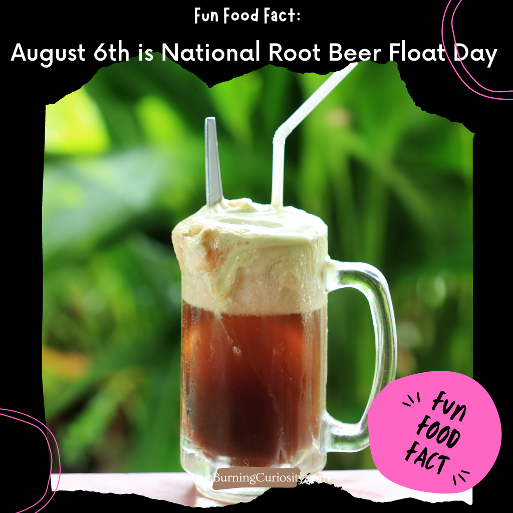Enjoy an icy cold Root Beer Ice Cream Float tonight for dessert.
