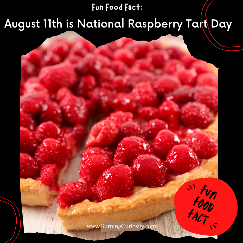 healthy and tasty raspberry tart