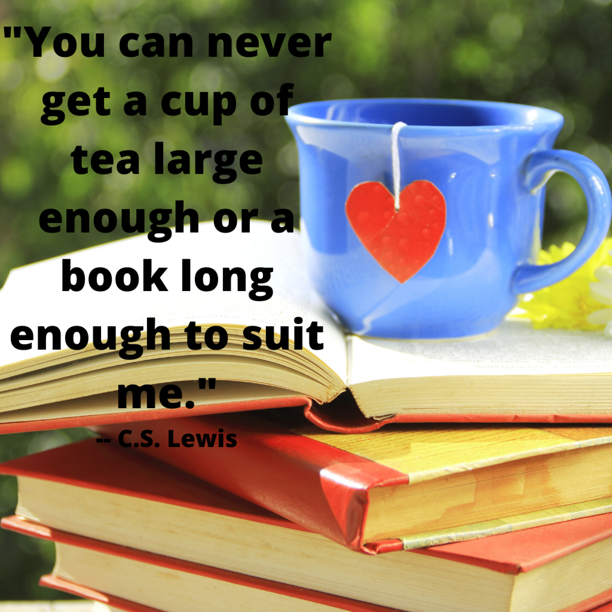 30 Awesome Quotes About The Value Of Reading And Books - Burning Curiosity