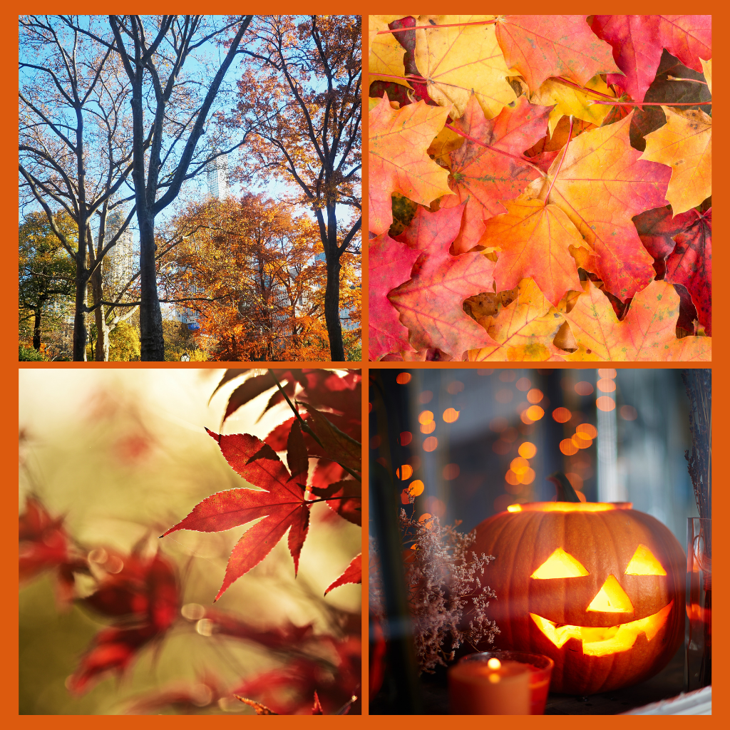 Quotes about the autumn fall october