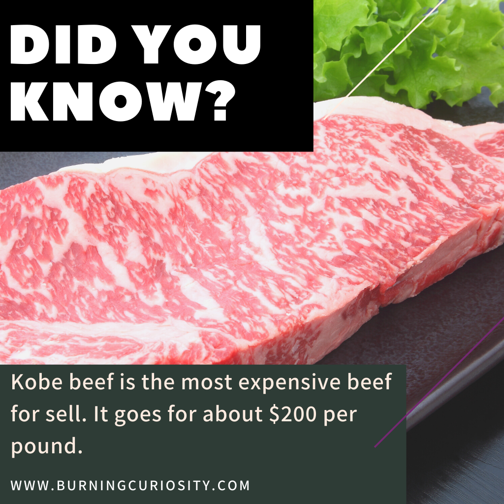 beef Kobe beef