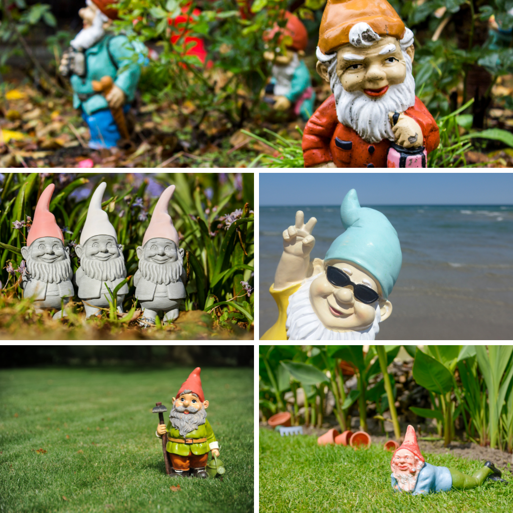 origin of garden gnomes