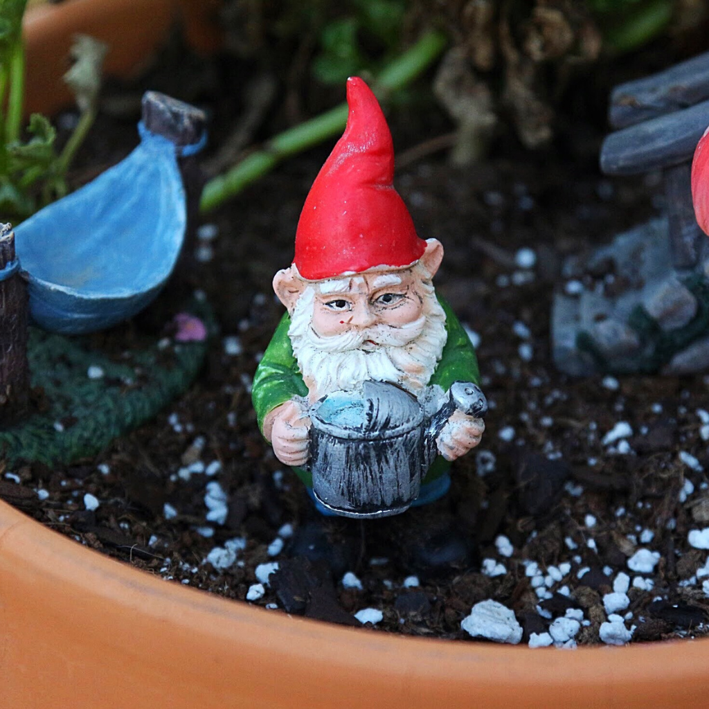 unknown facts about garden gnomes