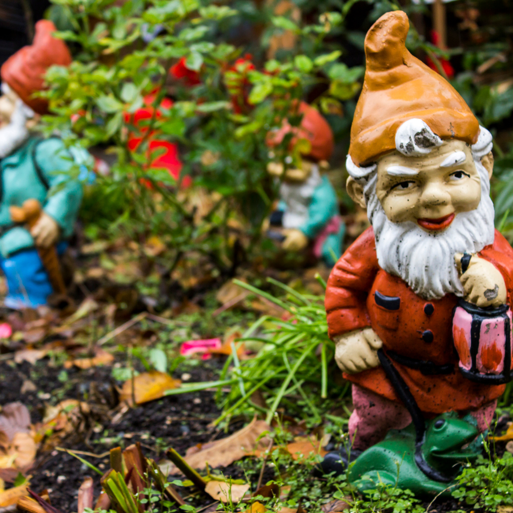 facts about garden gnomes
