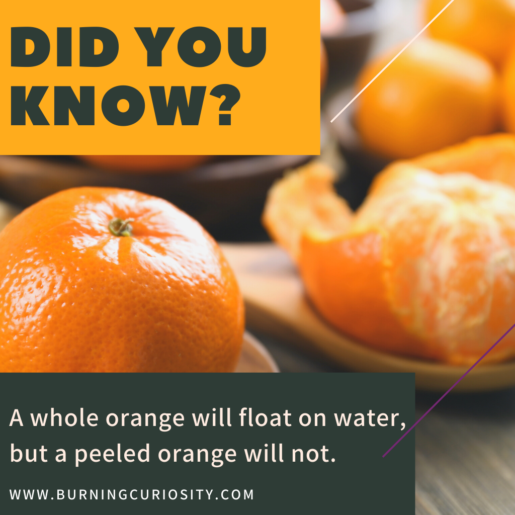 facts about oranges
