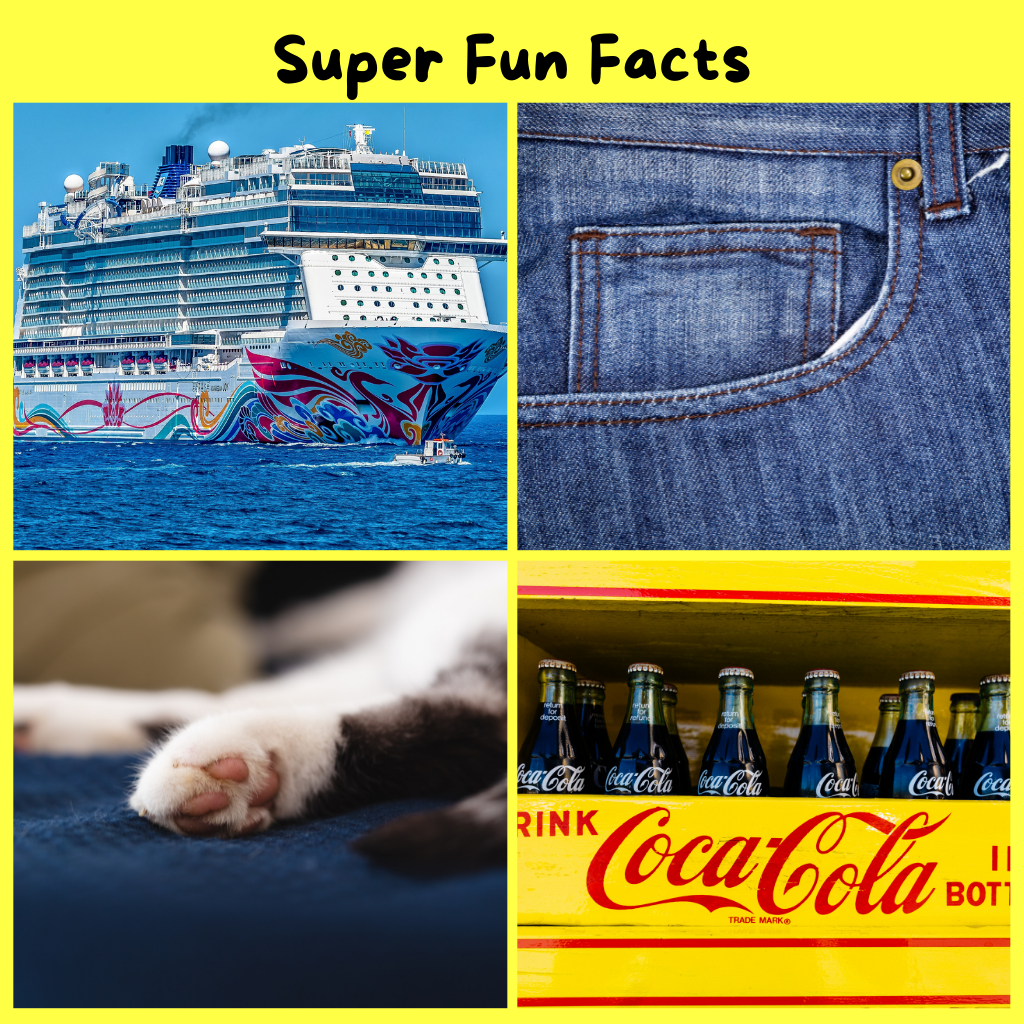super fun facts and trivia